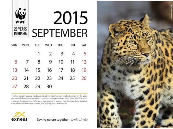 WWF calendar for Exness